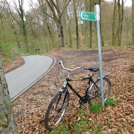 Schlosshotel فندق رالسفيك