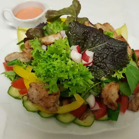 Schlosshotel فندق 4*